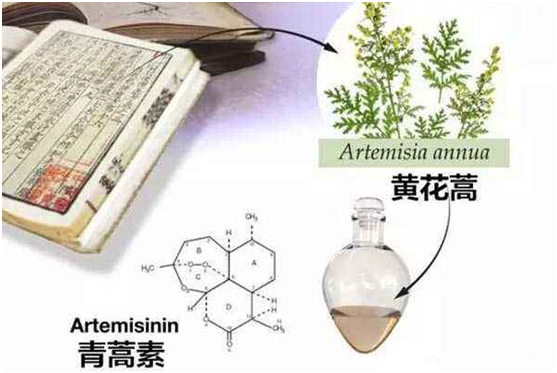 星空体育（中国）国际平台,星空 SPORTS：向中医药看齐，与世界共享中医药文化(图1)